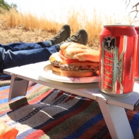 Camping lunch of champions