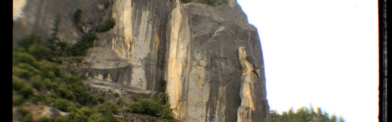 2009