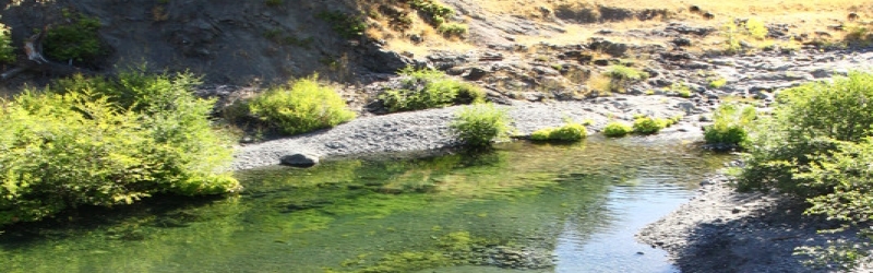 Balls of Steel - Portland to LA