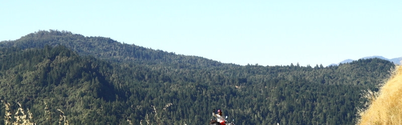 Balls of Steel - Portland to LA