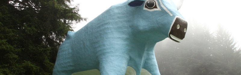 Balls of Steel - SF to Portland