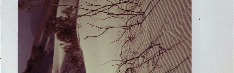 Kat's Death Valley Polaroids