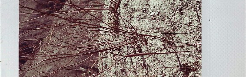 Kat's Death Valley Polaroids