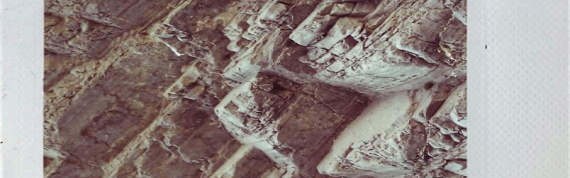 Kat's Death Valley Polaroids