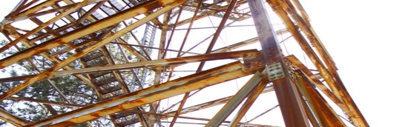 Sequoia National Forest