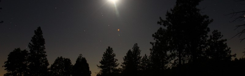Sequoia National Forest