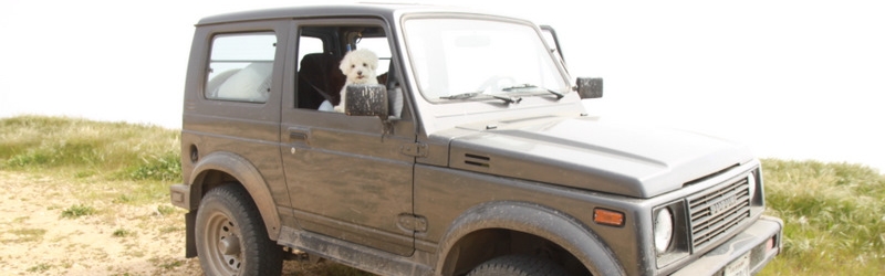 Los Padres National Forest