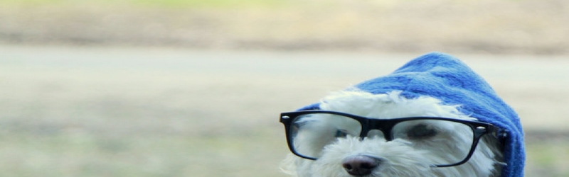 Los Padres National Forest