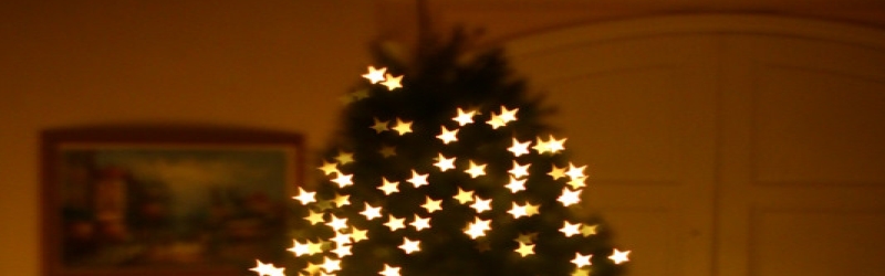 Merry Christmas Tarzana