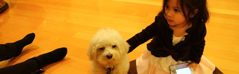 Merry Christmas Tarzana