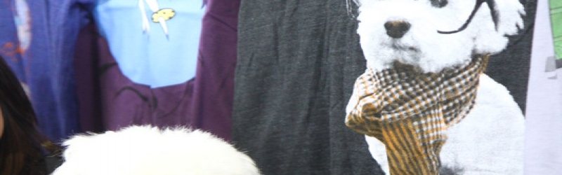 Renegade Craft Fair SF