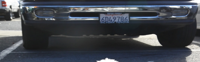 Renegade Craft Fair SF