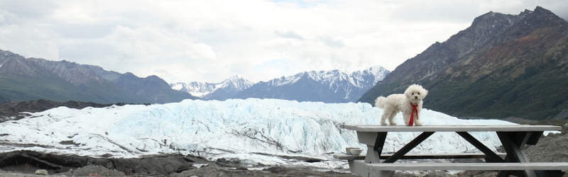 Matanuska Glacier