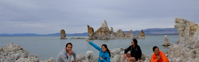 0613 Mammoth Hot Springs