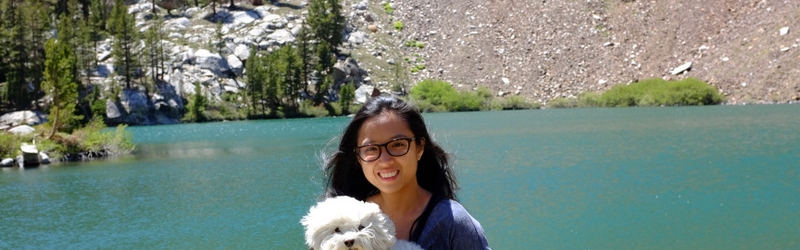 0613 Mammoth Hot Springs