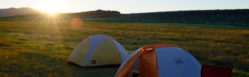 0710 JJ's Mammoth Bachelors