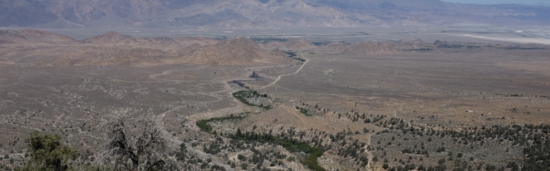 0712 JJ's Mammoth Bachelors